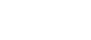 BDI - Business Data Inc.